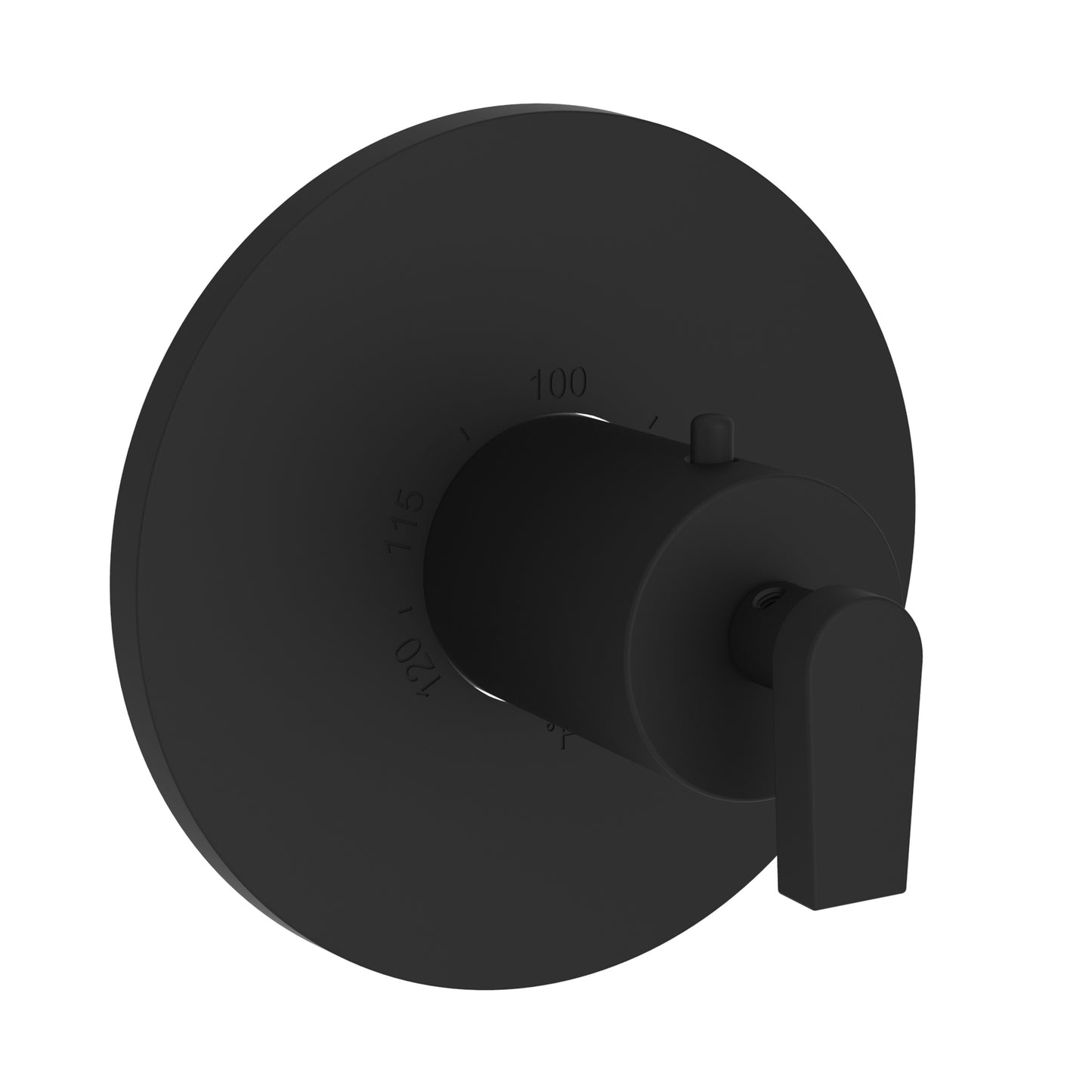 Newport Brass 3-2974TR Dorrance 3/4" Round Thermostatic Trim Plate With Handle