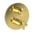 Newport Brass 3-2983TR Dorrance 1/2" Round Thermostatic Trim Plate With Handle