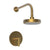 Newport Brass 3-3104BP Pavani Balanced Pressure Shower Trim Set
