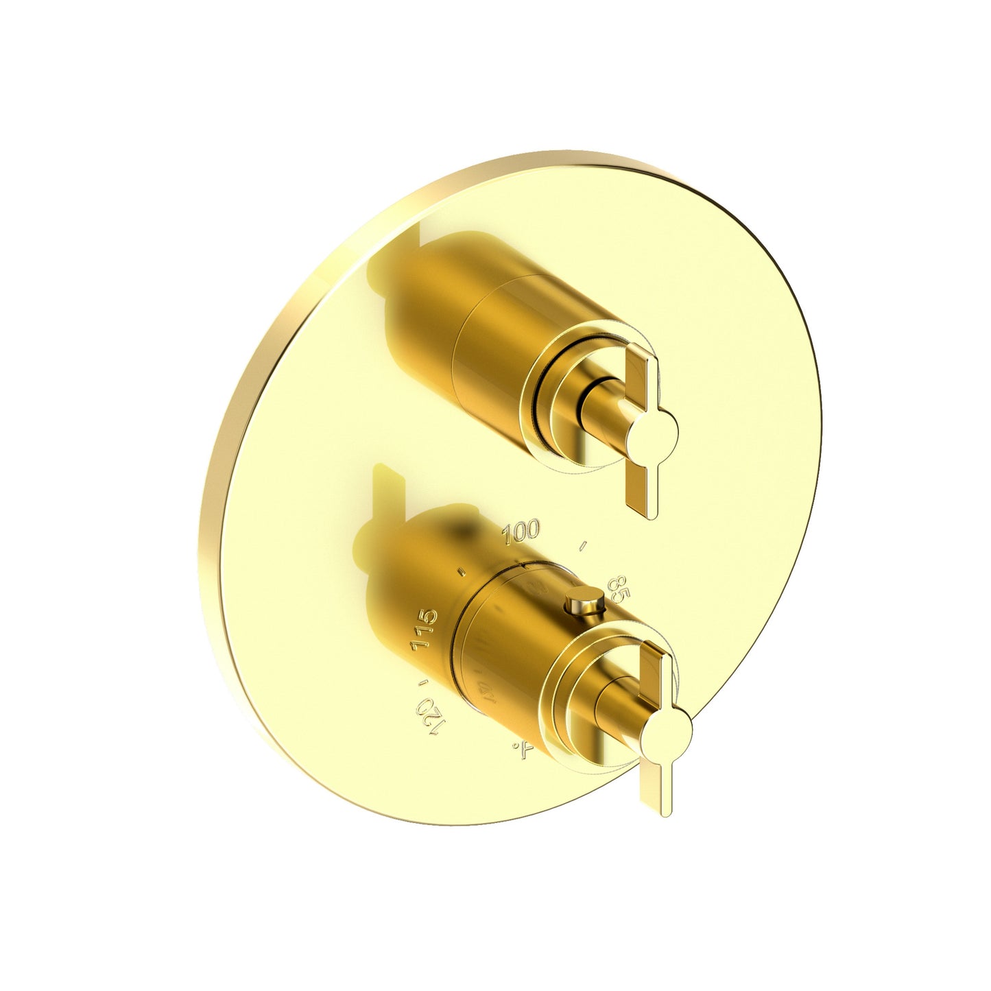 Newport Brass 3-3323TR Tolmin 1/2" Round Thermostatic Trim Plate with Handle