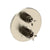 Newport Brass 3-3333TR Tolmin 1/2" Round Thermostatic Trim Plate with Handle