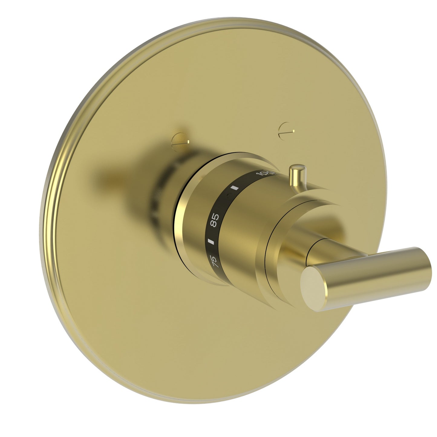 Newport Brass 3-994LTR East Linear 3/4" Round Thermostatic Trim Plate with Handle