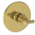 Newport Brass 3-994LTR East Linear 3/4" Round Thermostatic Trim Plate with Handle
