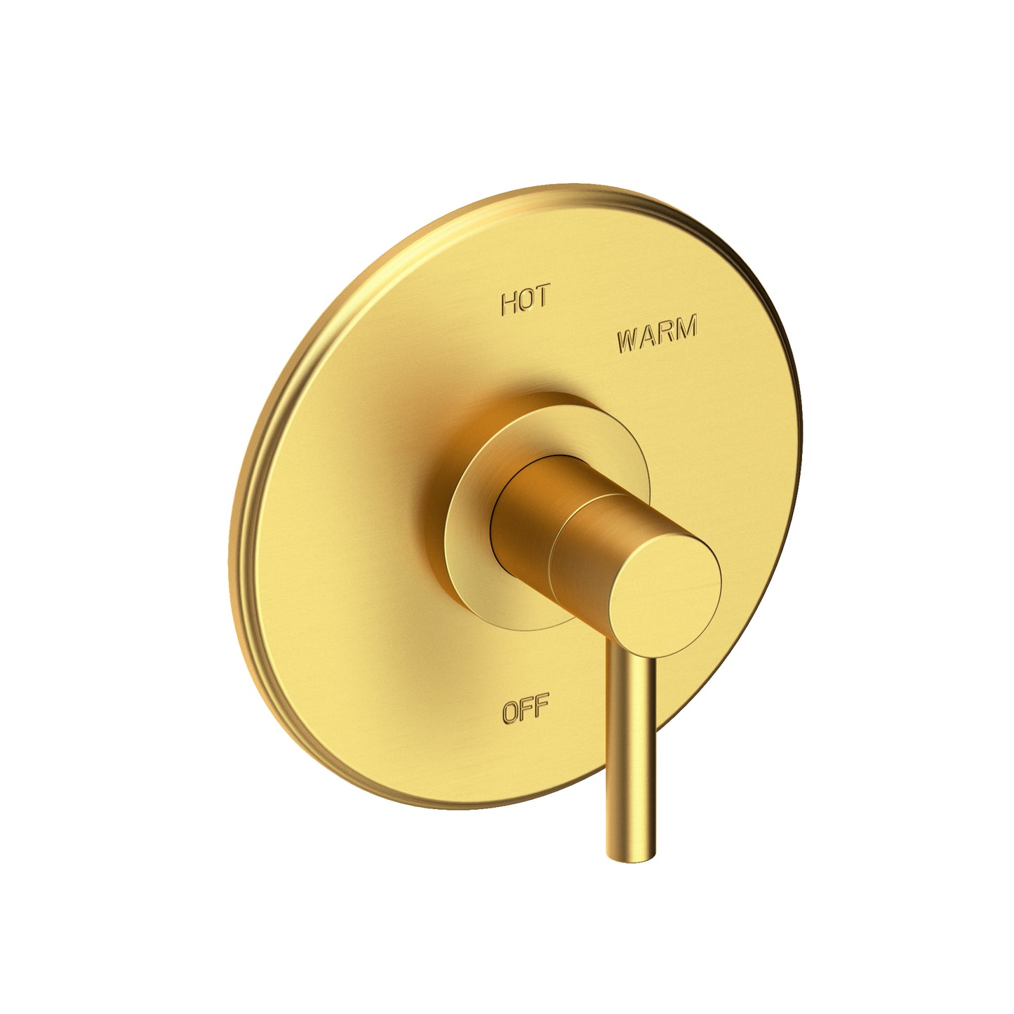 Newport Brass 4-1504BP East Linear Balanced Pressure Shower Trim Plate With Handle. Less Showerhead, Arm And Flange.