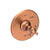 Newport Brass 4-1764BP Victoria Balanced Pressure Shower Trim Plate with Handle. Less showerhead, arm and flange.