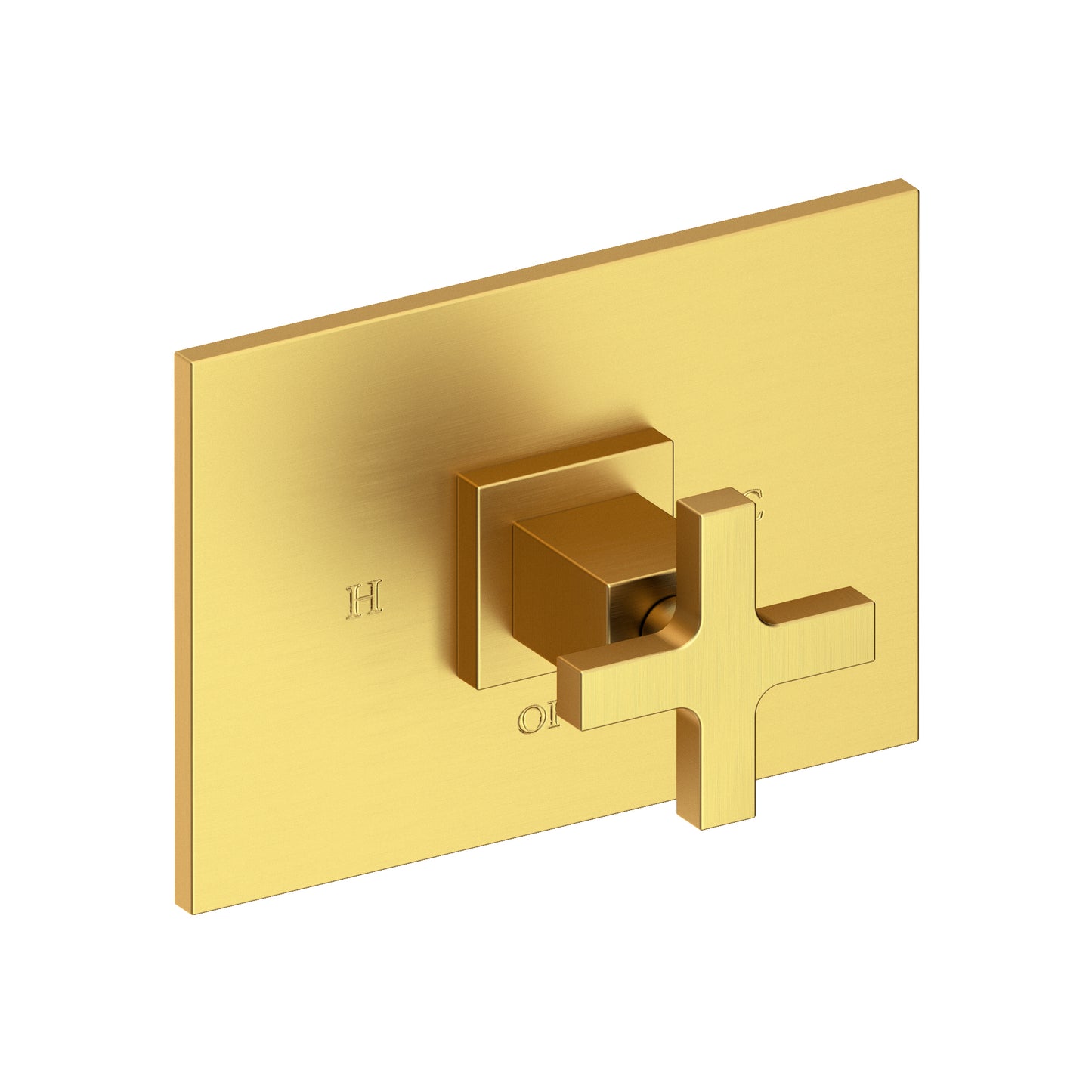 Newport Brass 4-2064BP Secant Balanced Pressure Shower Trim Plate With Handle. Less Showerhead, Arm And Flange.