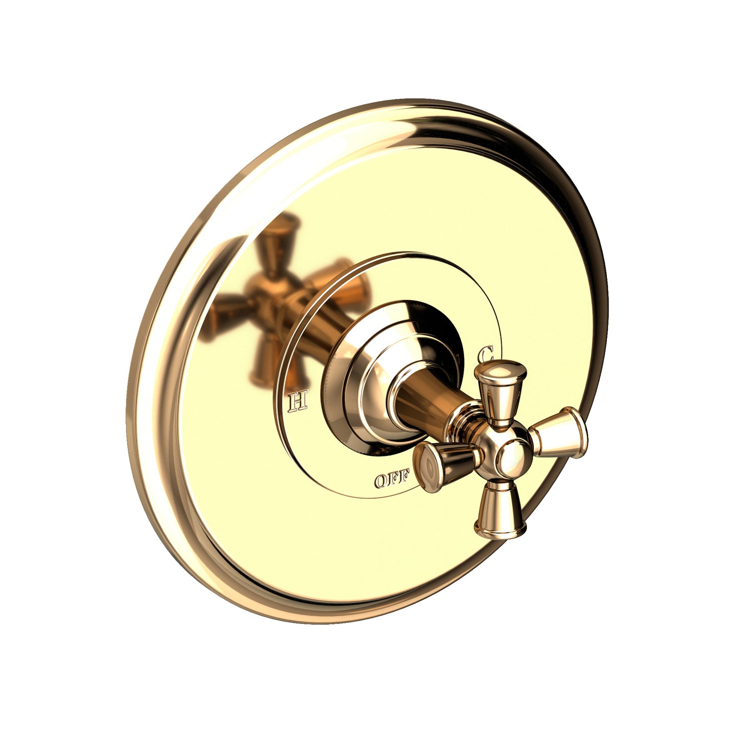 Newport Brass 4-2404BP Aylesbury Balanced Pressure Shower Trim Plate With Handle. Less Showerhead, Arm And Flange.
