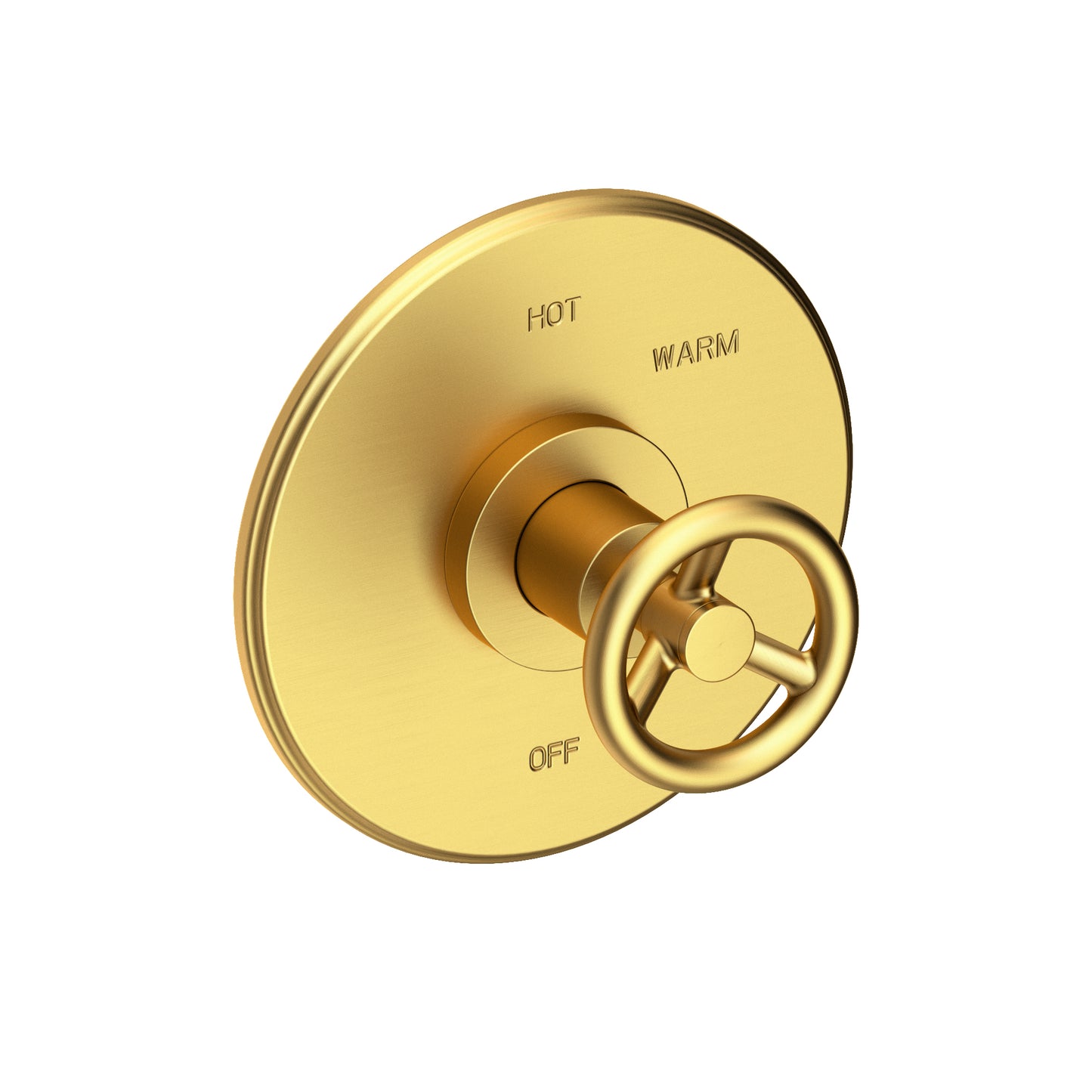 Newport Brass 4-2924BP Slater Balanced Pressure Shower Trim Plate With Handle. Less Showerhead, Arm And Flange.