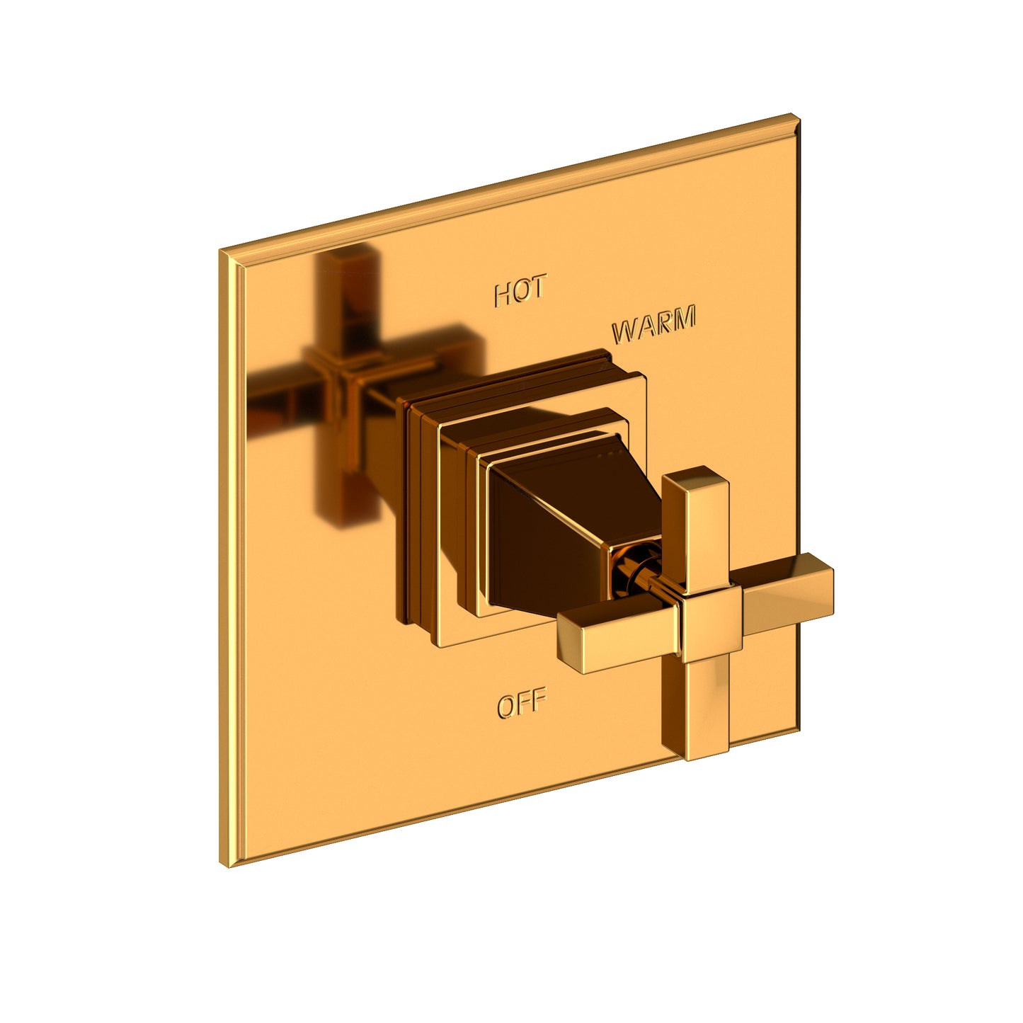 Newport Brass 4-3154BP Malvina Balanced Pressure Shower Trim Plate With Handle. Less Showerhead, Arm And Flange.
