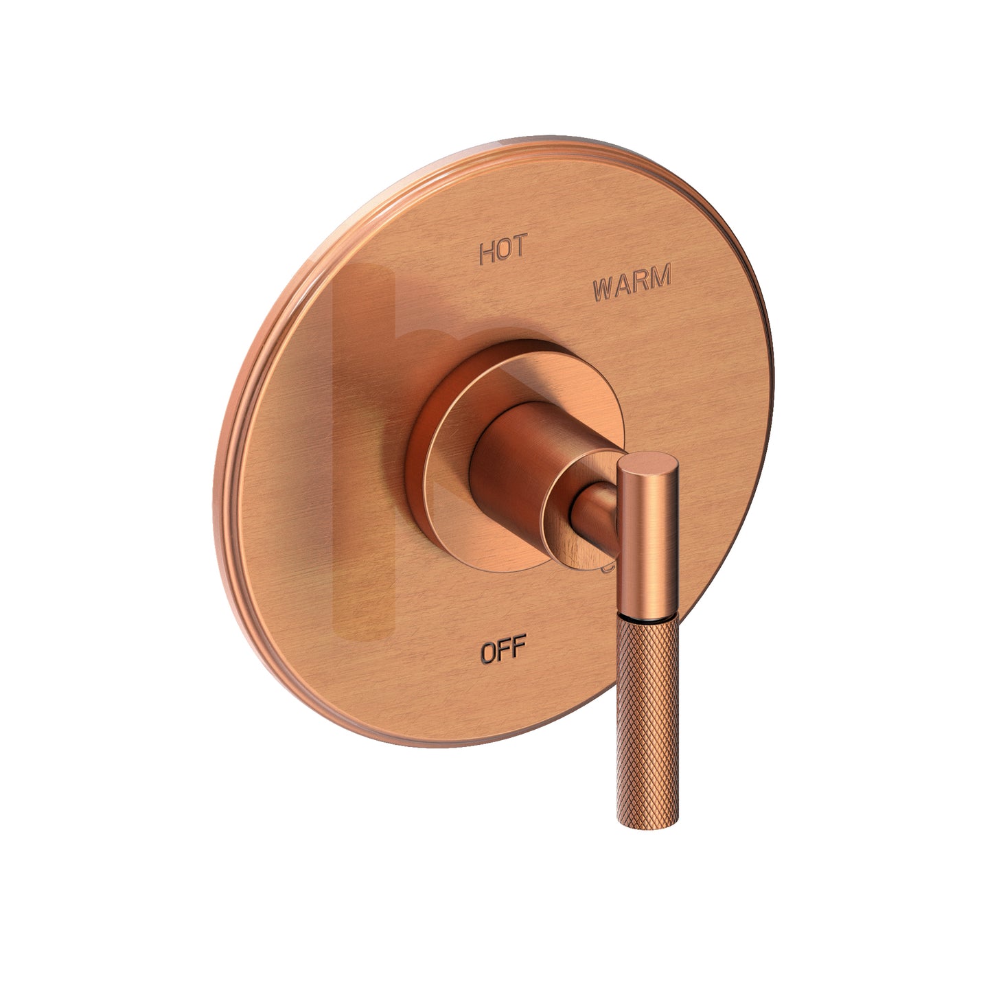Newport Brass 4-3294BP Muncy Balanced Pressure Shower Trim Plate With Handle. Less Showerhead, Arm And Flange.