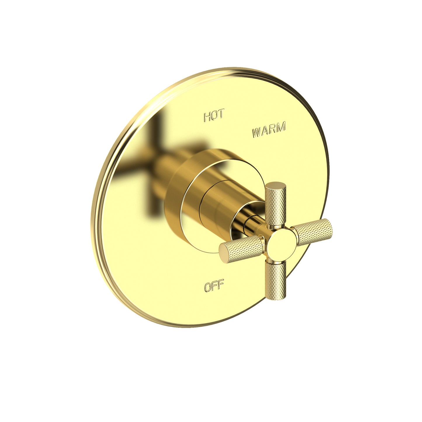 Newport Brass 4-3304BP Muncy Balanced Pressure Shower Trim Plate with Handle. Less showerhead, arm and flange.