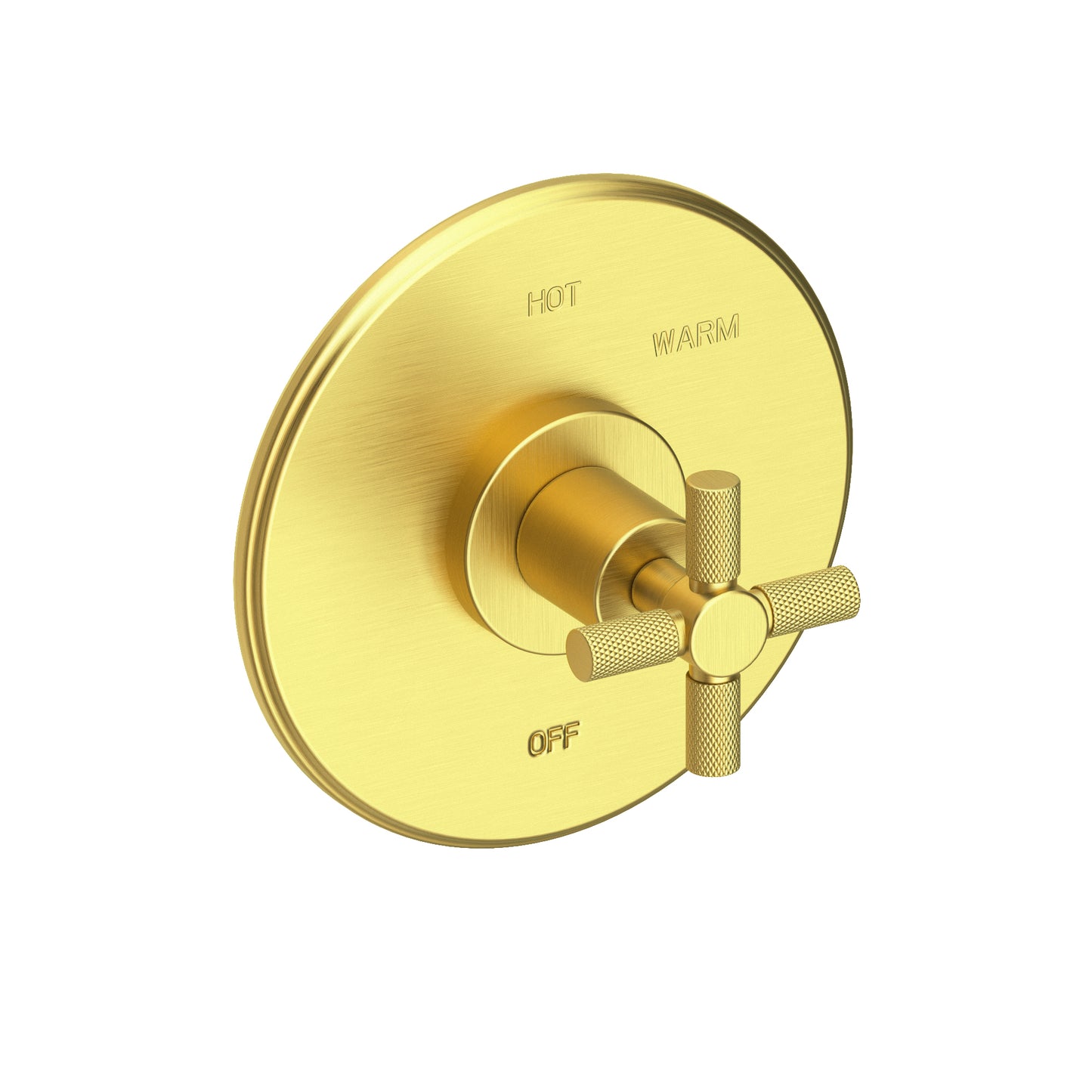 Newport Brass 4-3304BP Muncy Balanced Pressure Shower Trim Plate with Handle. Less showerhead, arm and flange.