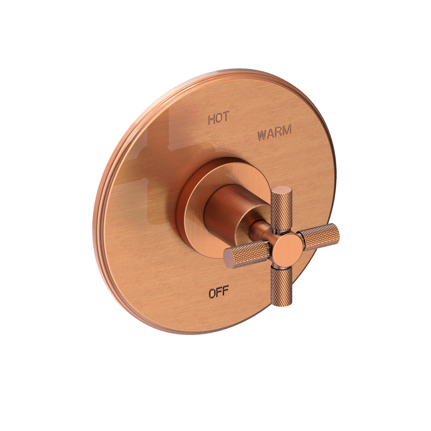 Newport Brass 4-3304BP Muncy Balanced Pressure Shower Trim Plate with Handle. Less showerhead, arm and flange.