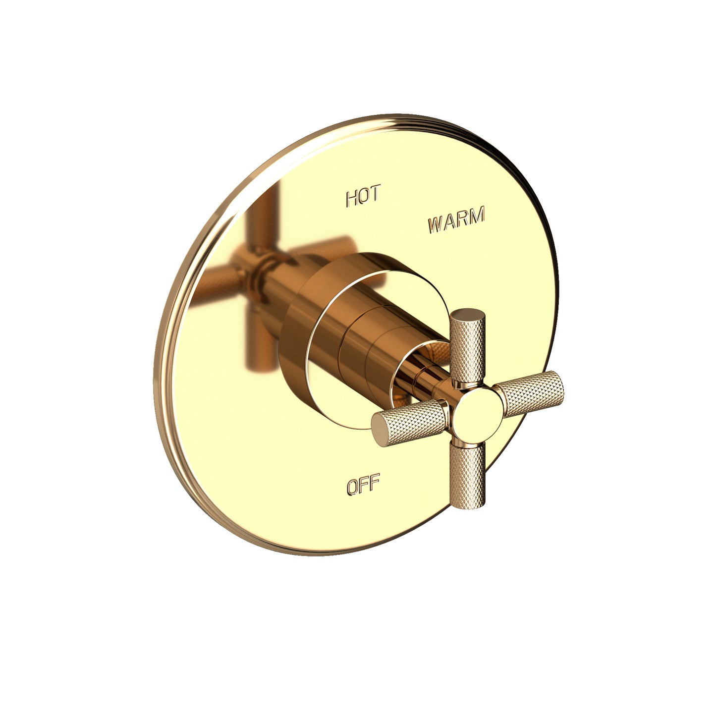 Newport Brass 4-3304BP Muncy Balanced Pressure Shower Trim Plate with Handle. Less showerhead, arm and flange.