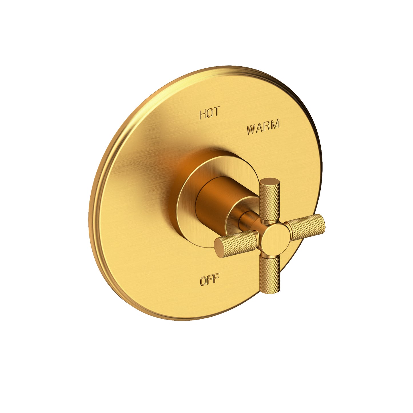 Newport Brass 4-3304BP Muncy Balanced Pressure Shower Trim Plate with Handle. Less showerhead, arm and flange.