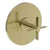 Newport Brass 4-3334BP Tolmin Balanced Pressure Shower Trim Plate with Handle. Less showerhead, arm and flange.