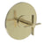 Newport Brass 4-3334BP Tolmin Balanced Pressure Shower Trim Plate with Handle. Less showerhead, arm and flange.