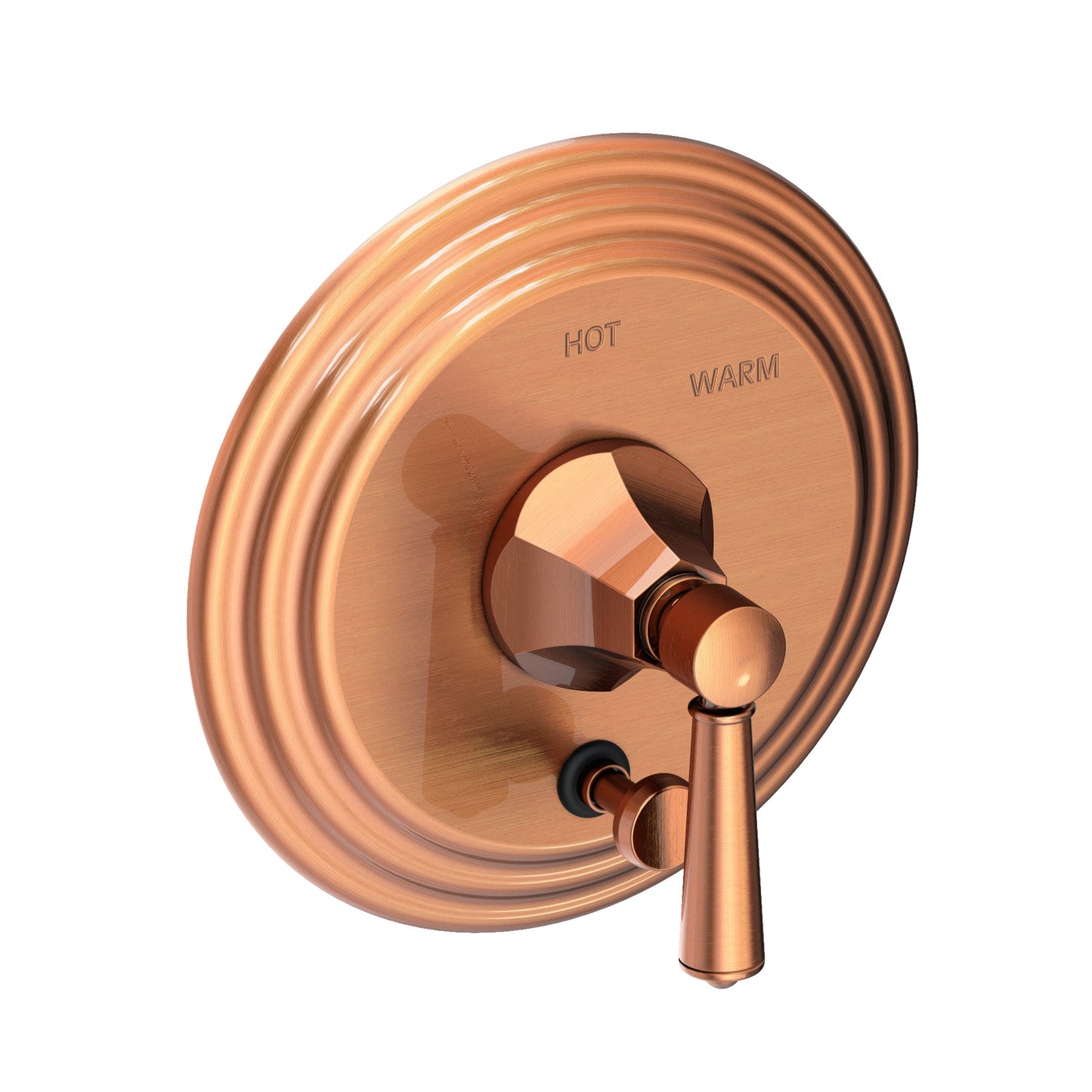 Newport Brass 5-1202BP Metropole Balanced Pressure Tub & Shower Diverter Plate With Handle