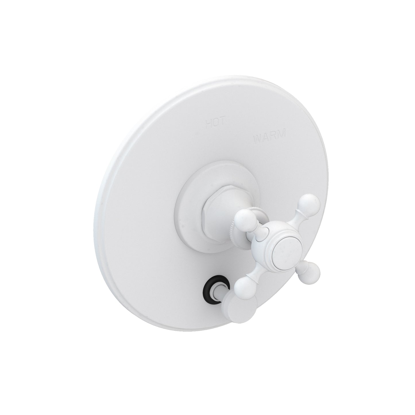 Newport Brass 5-1762BP Victoria Balanced Pressure Tub & Shower Diverter Plate with Handle. Less Showerhead, arm and flange.