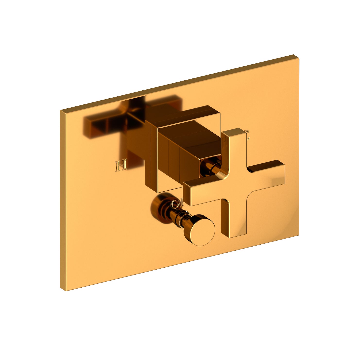 Newport Brass 5-2062BP Secant Balanced Pressure Tub & Shower Diverter Plate With Handle