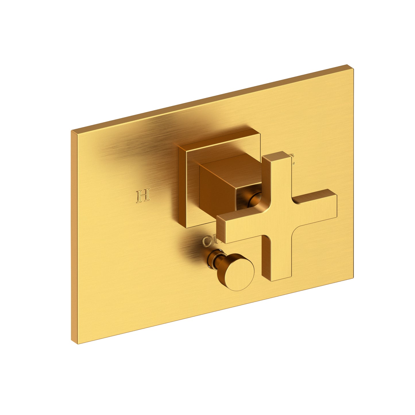 Newport Brass 5-2062BP Secant Balanced Pressure Tub & Shower Diverter Plate With Handle