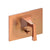 Newport Brass 5-2572BP Joffrey Balanced Pressure Tub & Shower Diverter Plate with Handle. Less Showerhead, arm and flange.