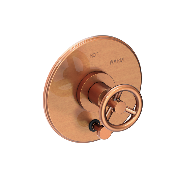 Newport Brass 5-2922BP Slater Balanced Pressure Tub & Shower Diverter Plate with Handle. Less Showerhead, arm and flange.
