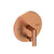 Newport Brass 5-3102BP Pavani Balanced Pressure Tub & Shower Diverter Plate with Handle. Less Showerhead, arm and flange.