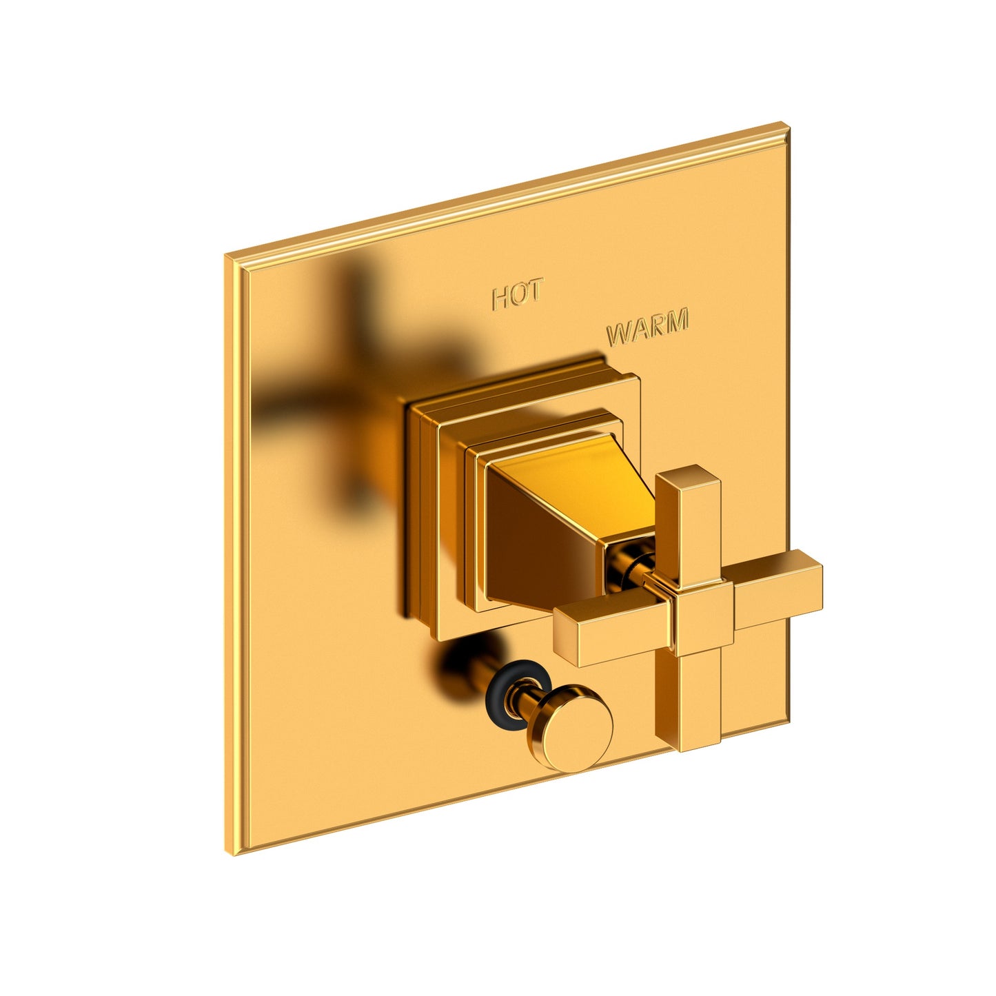 Newport Brass 5-3152BP Malvina Balanced Pressure Tub & Shower Diverter Plate with Handle