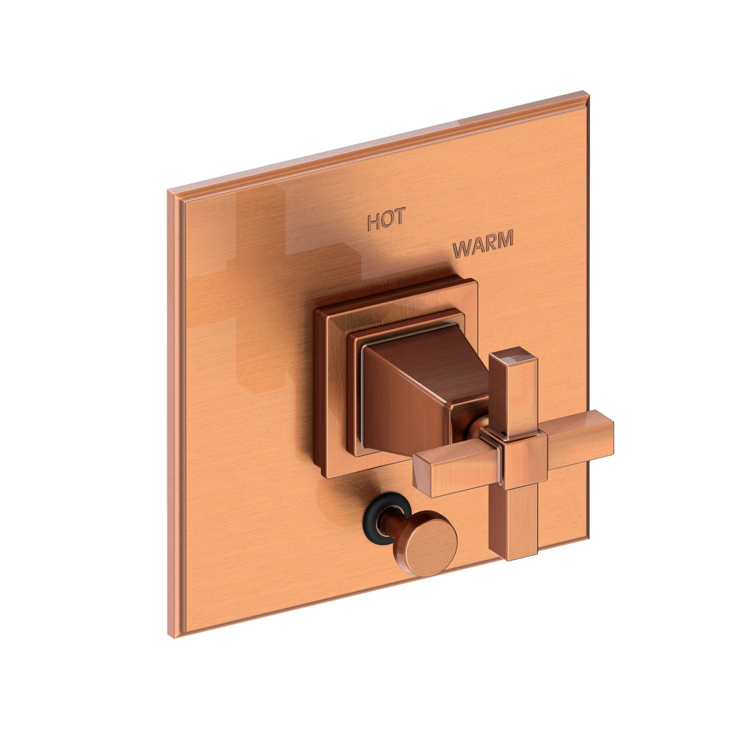 Newport Brass 5-3152BP Malvina Balanced Pressure Tub & Shower Diverter Plate with Handle