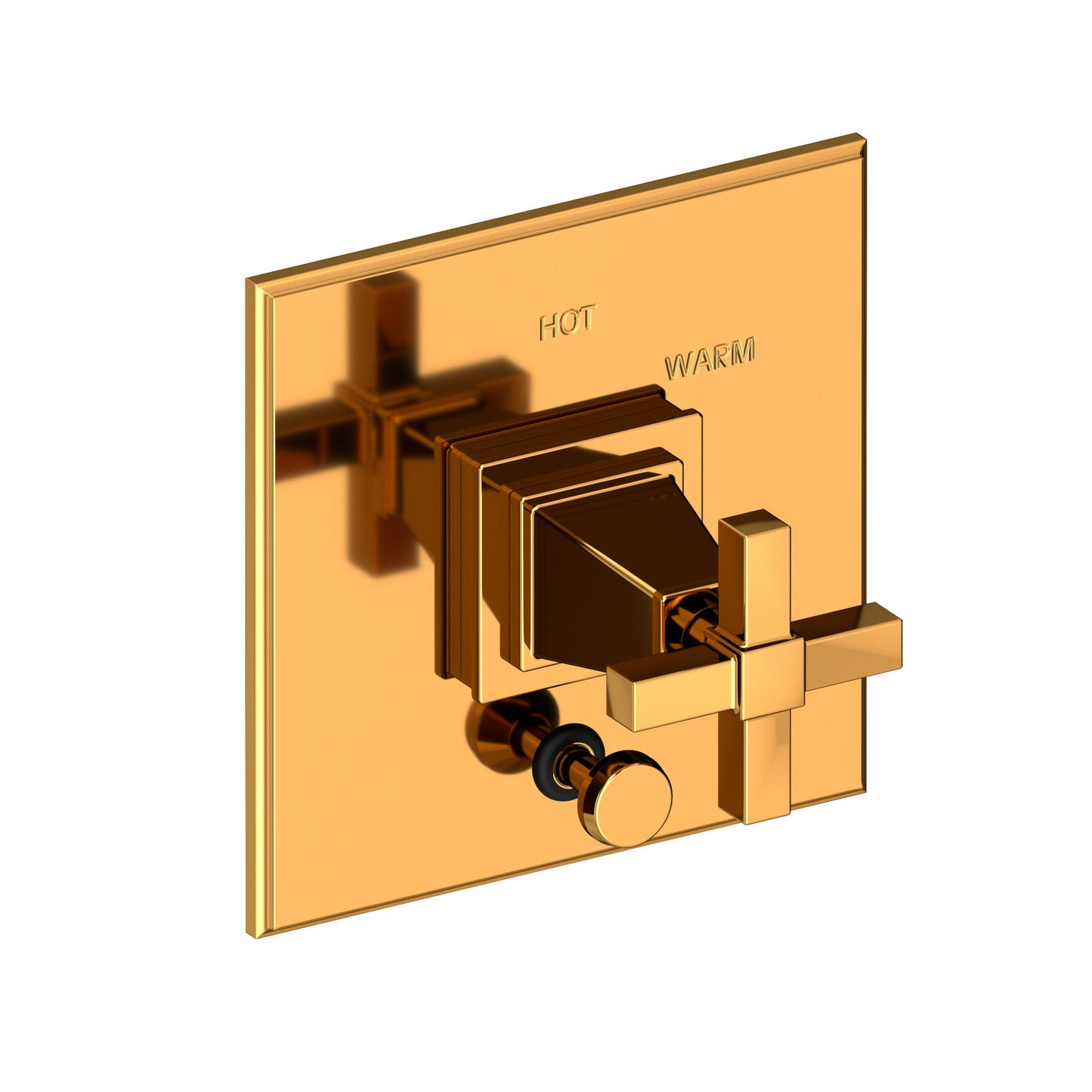 Newport Brass 5-3152BP Malvina Balanced Pressure Tub & Shower Diverter Plate with Handle