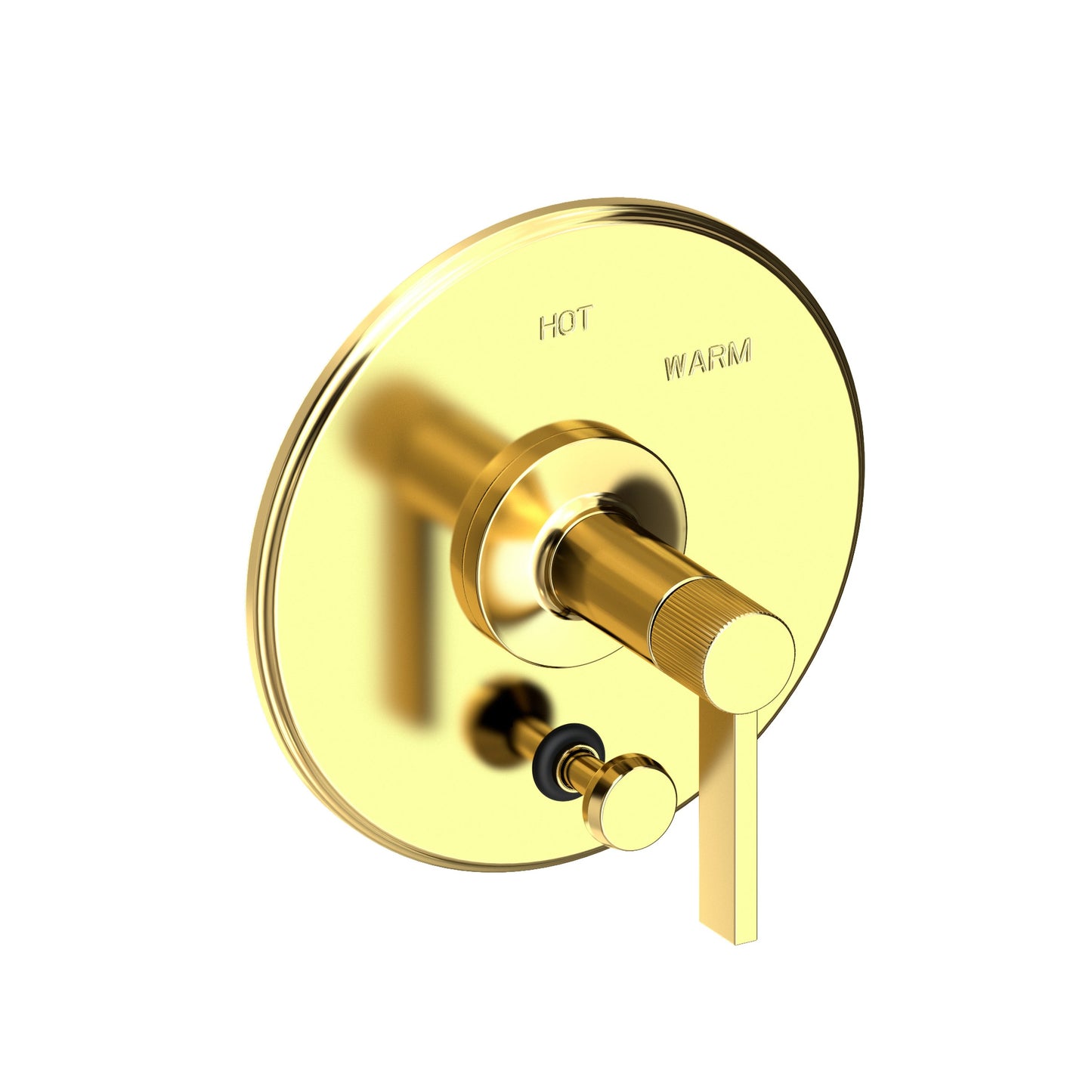 Newport Brass 5-3232BP Pardees Balanced Pressure Tub & Shower Diverter Plate with Handle. Less Showerhead, arm and flange.