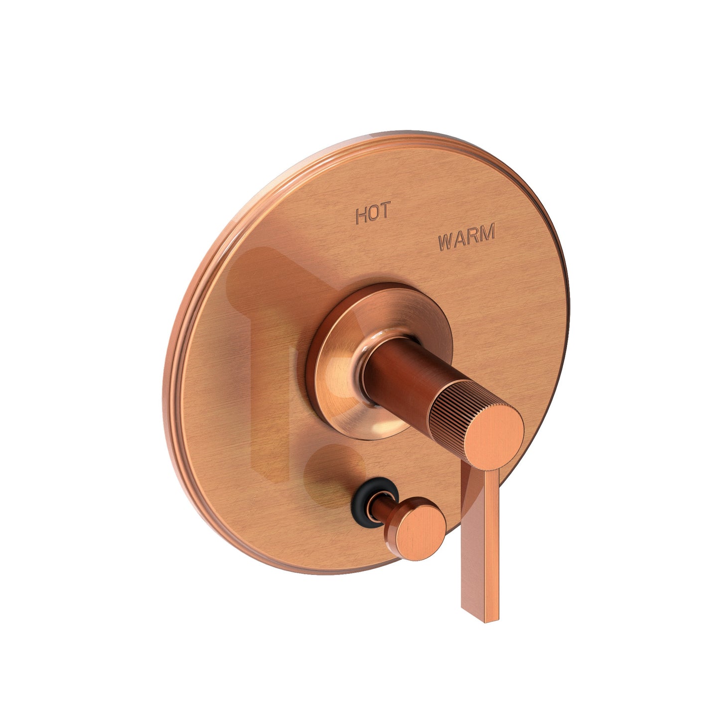 Newport Brass 5-3232BP Pardees Balanced Pressure Tub & Shower Diverter Plate with Handle. Less Showerhead, arm and flange.