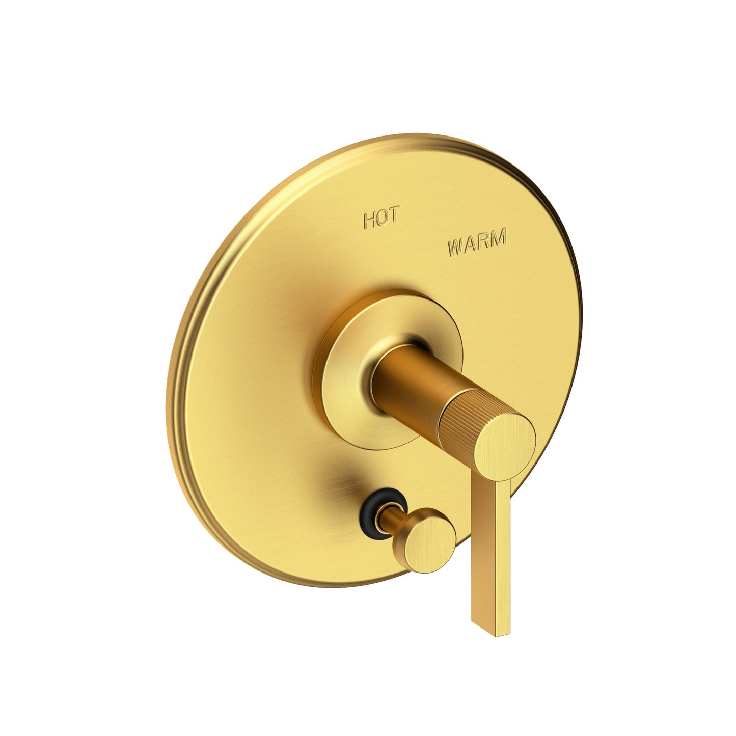 Newport Brass 5-3232BP Pardees Balanced Pressure Tub & Shower Diverter Plate with Handle. Less Showerhead, arm and flange.