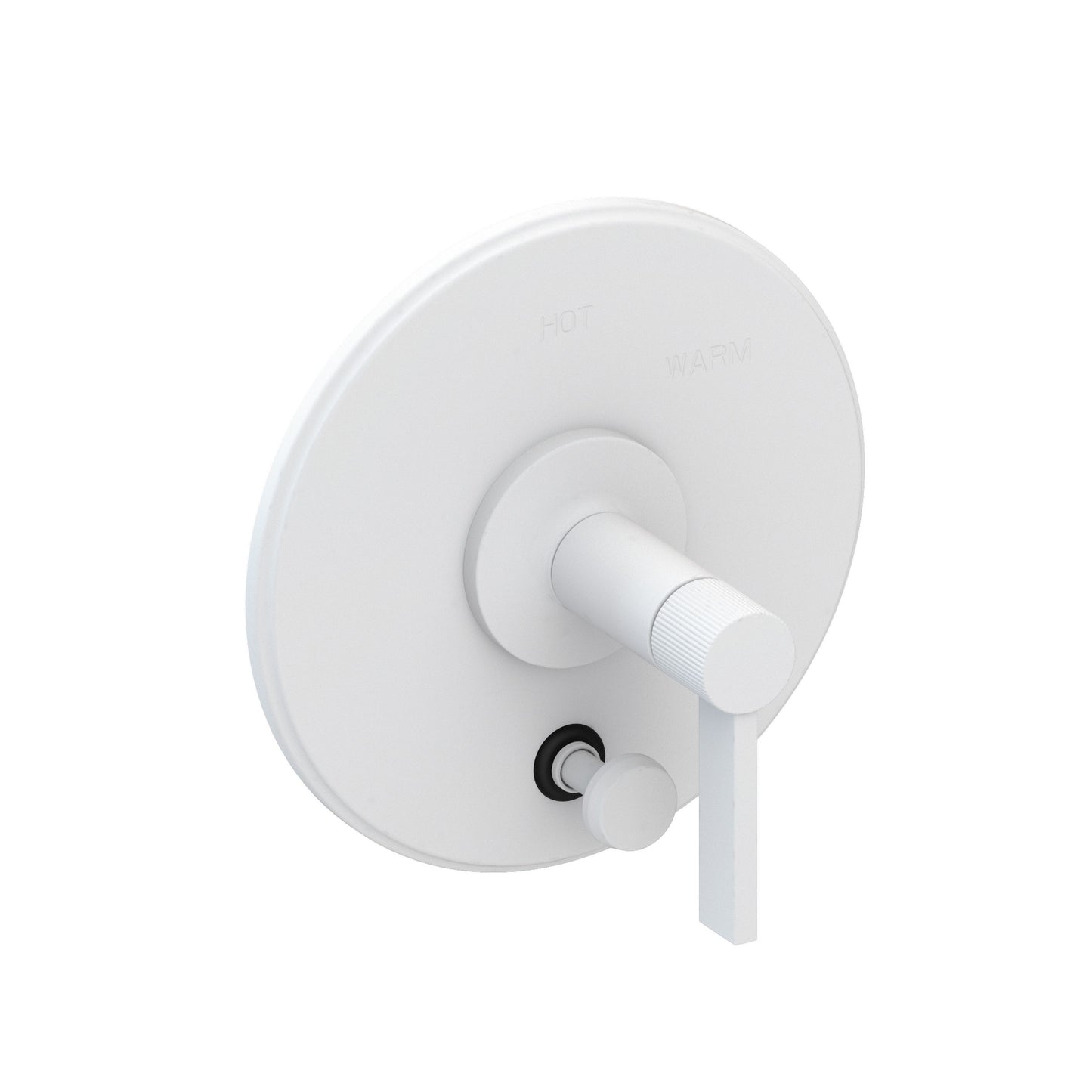 Newport Brass 5-3232BP Pardees Balanced Pressure Tub & Shower Diverter Plate with Handle. Less Showerhead, arm and flange.