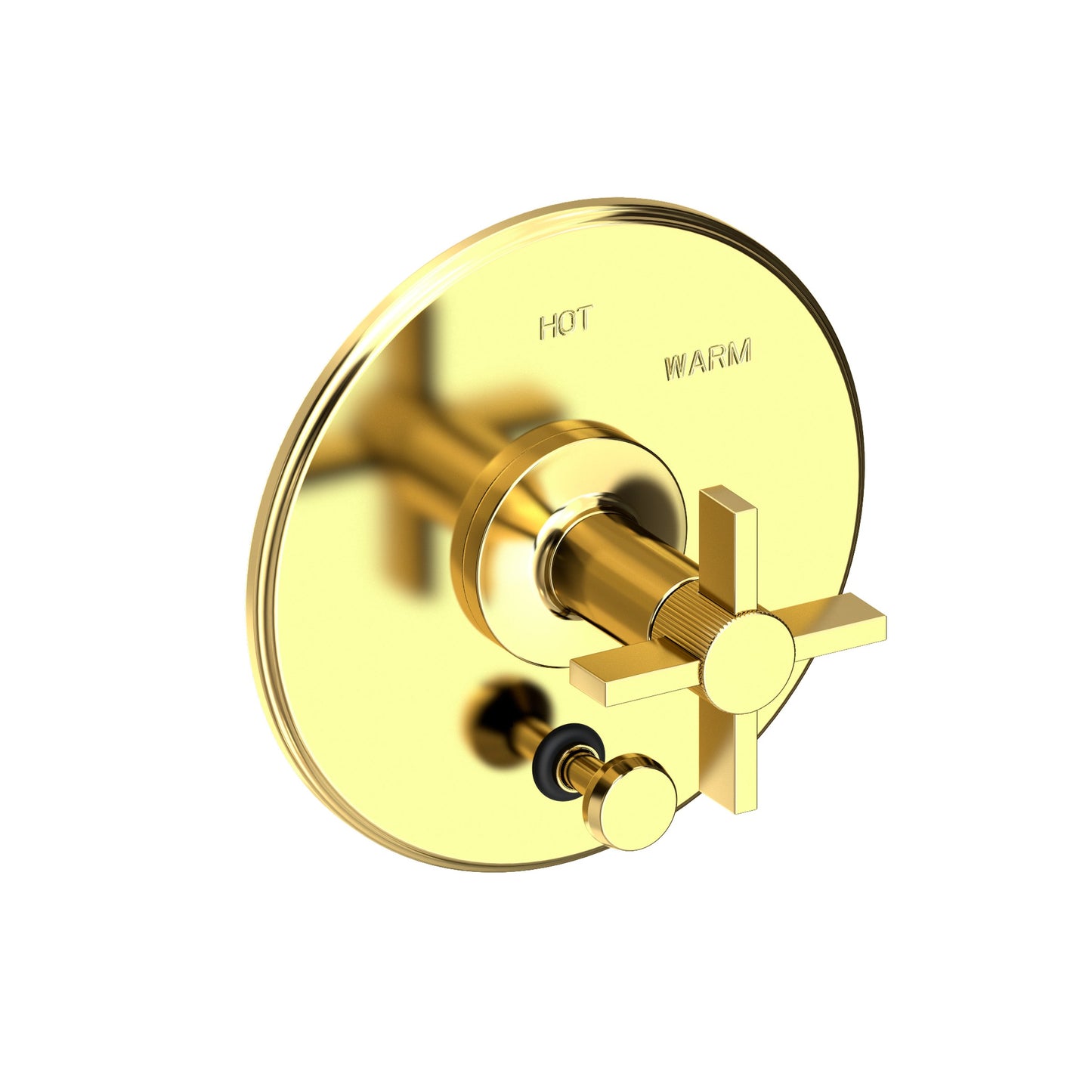 Newport Brass 5-3242BP Pardees Balanced Pressure Tub & Shower Diverter Plate with Handle. Less Showerhead, arm and flange.