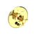 Newport Brass 5-3242BP Pardees Balanced Pressure Tub & Shower Diverter Plate with Handle. Less Showerhead, arm and flange.