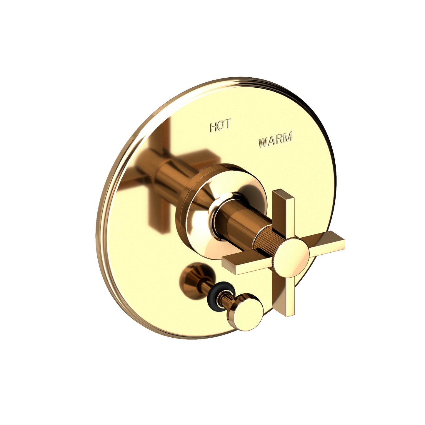 Newport Brass 5-3242BP Pardees Balanced Pressure Tub & Shower Diverter Plate with Handle. Less Showerhead, arm and flange.