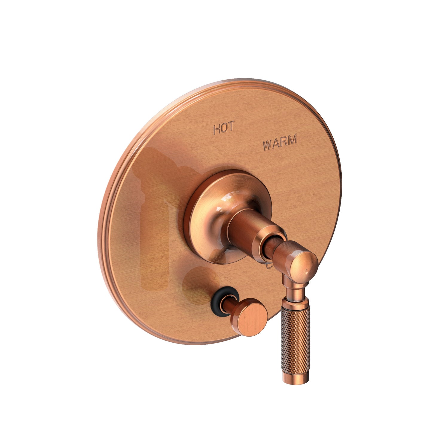 Newport Brass 5-3252BP Clemens Balanced Pressure Tub & Shower Diverter Plate with Handle. Less Showerhead, arm and flange.