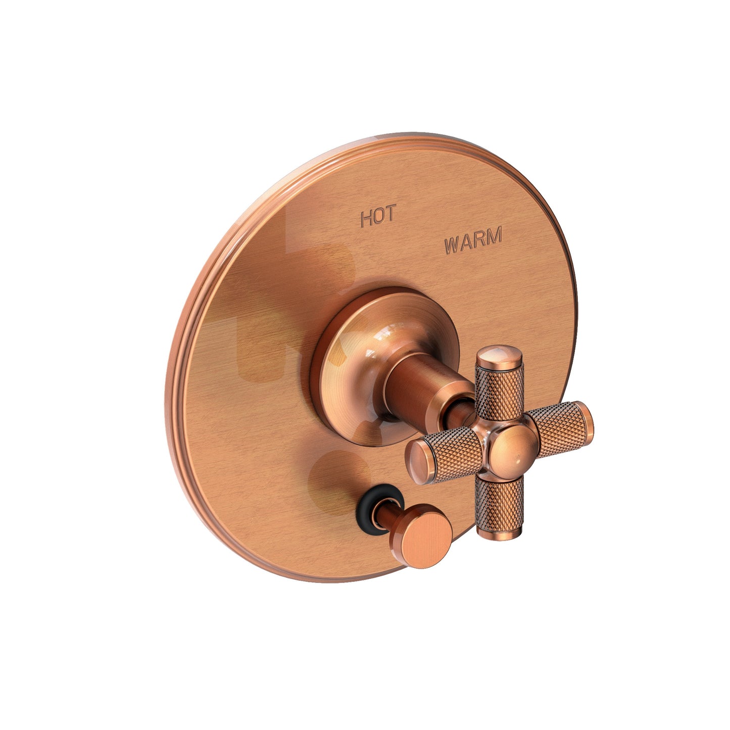 Newport Brass 5-3262BP Clemens Balanced Pressure Tub & Shower Diverter Plate With Handle