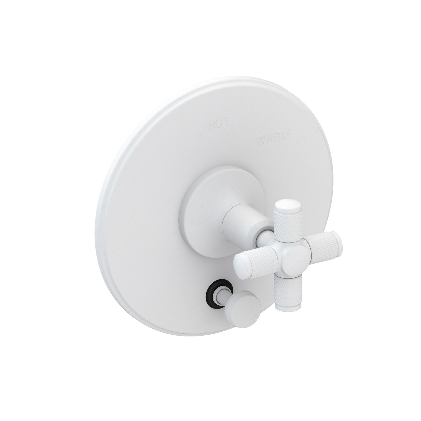 Newport Brass 5-3262BP Clemens Balanced Pressure Tub & Shower Diverter Plate With Handle