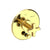 Newport Brass 5-3282BP Griffey Balanced Pressure Tub & Shower Diverter Plate with Handle. Less Showerhead, arm and flange.