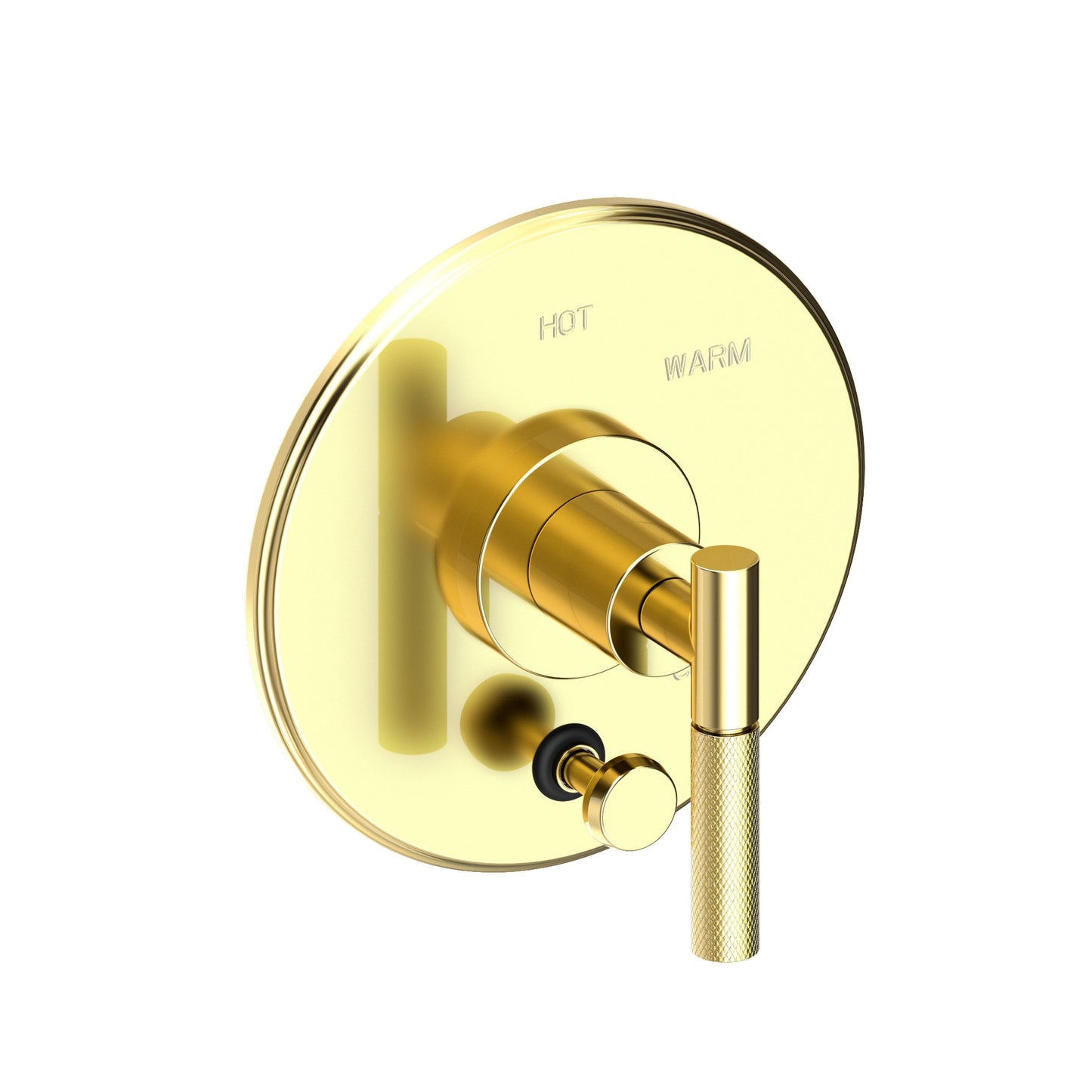 Newport Brass 5-3292BP Muncy Balanced Pressure Tub & Shower Diverter Plate With Handle