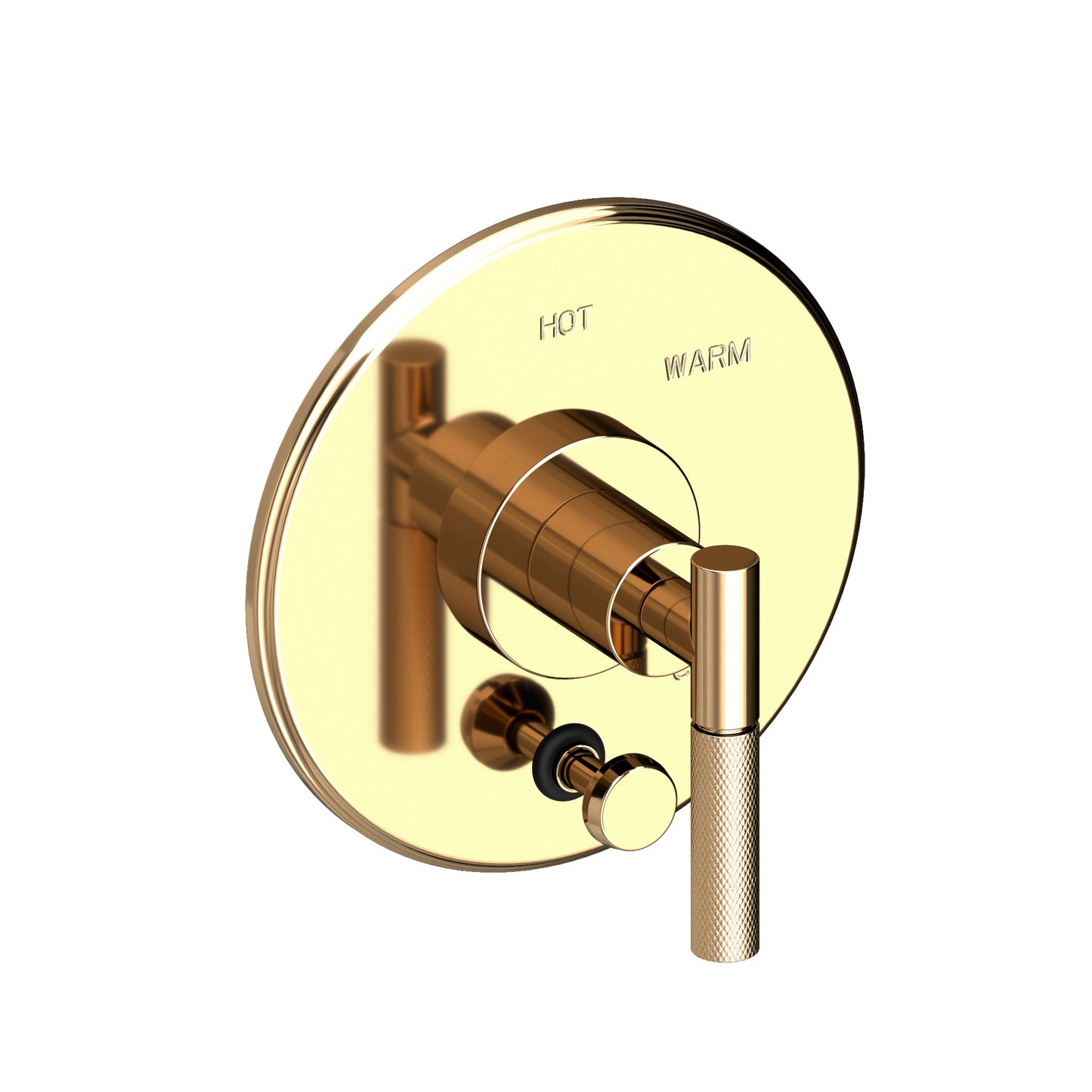 Newport Brass 5-3292BP Muncy Balanced Pressure Tub & Shower Diverter Plate With Handle