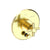 Newport Brass 5-3302BP Muncy Balanced Pressure Tub & Shower Diverter Plate with Handle. Less Showerhead, arm and flange.