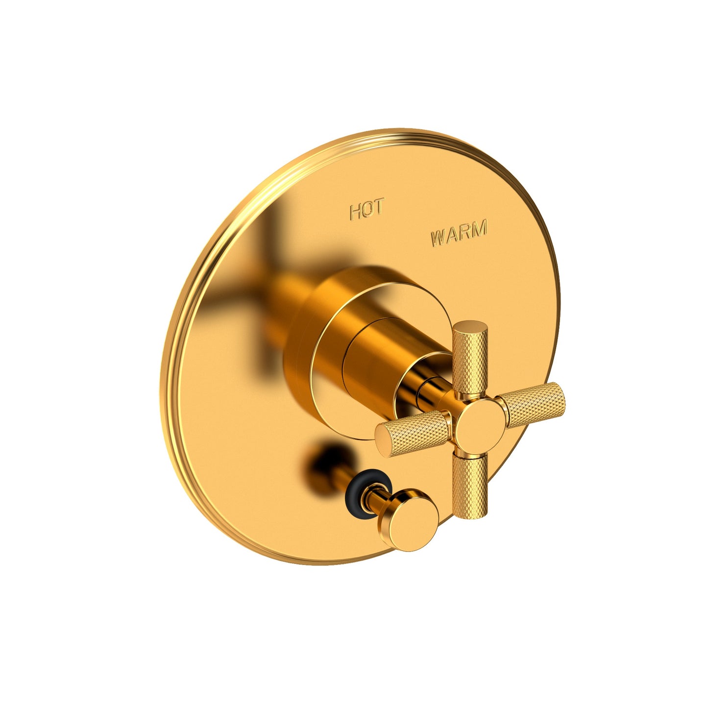 Newport Brass 5-3302BP Muncy Balanced Pressure Tub & Shower Diverter Plate with Handle. Less Showerhead, arm and flange.