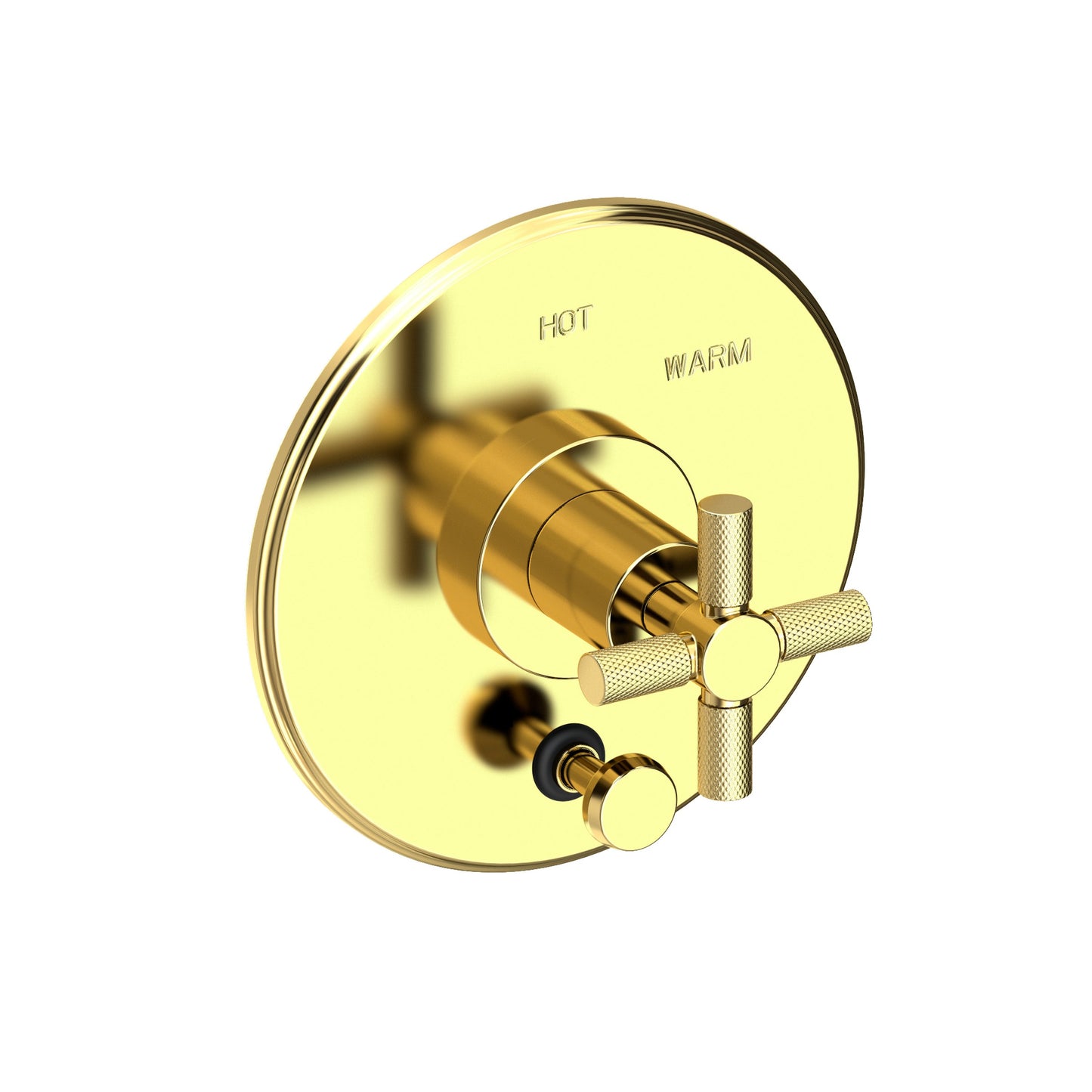 Newport Brass 5-3302BP Muncy Balanced Pressure Tub & Shower Diverter Plate with Handle. Less Showerhead, arm and flange.