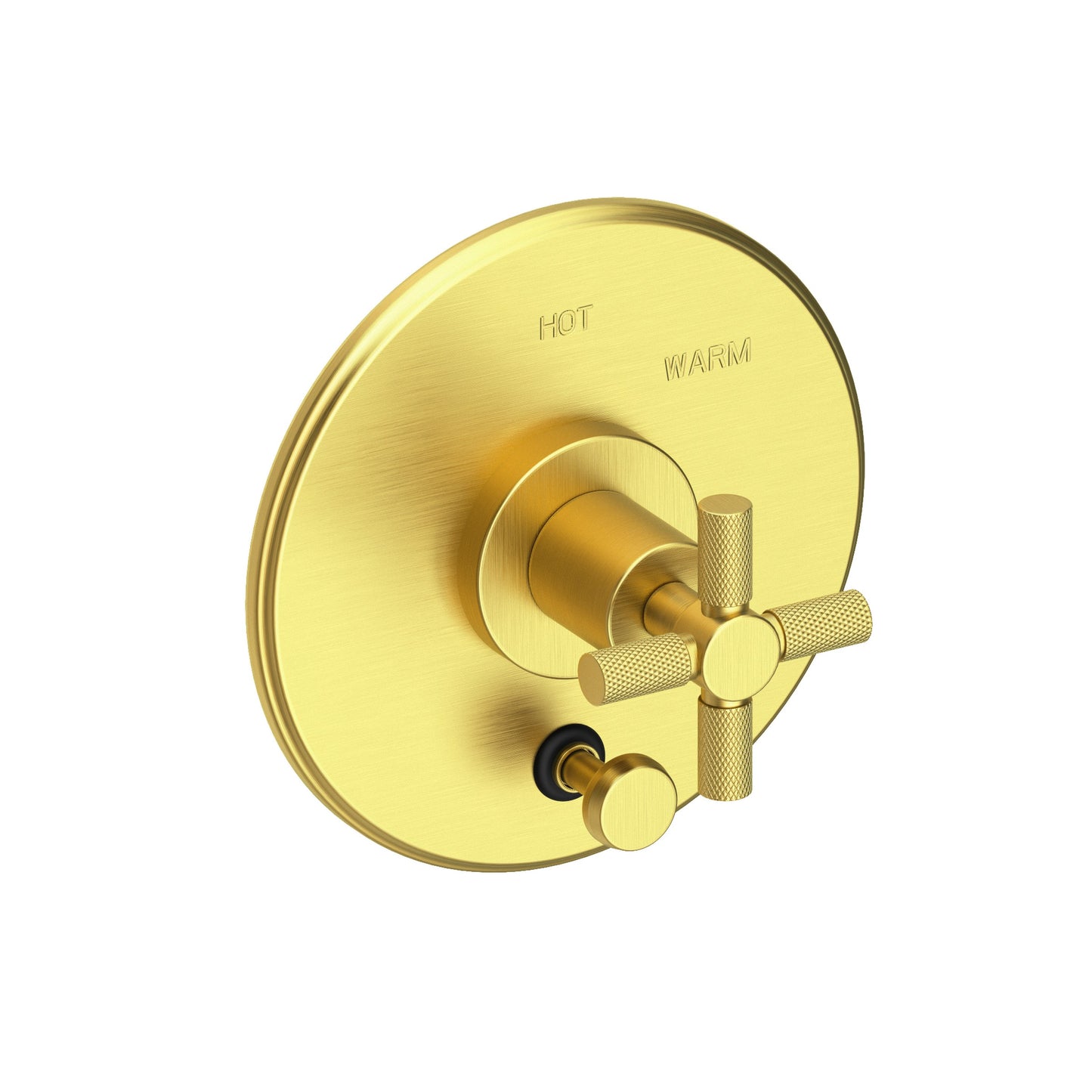 Newport Brass 5-3302BP Muncy Balanced Pressure Tub & Shower Diverter Plate with Handle. Less Showerhead, arm and flange.