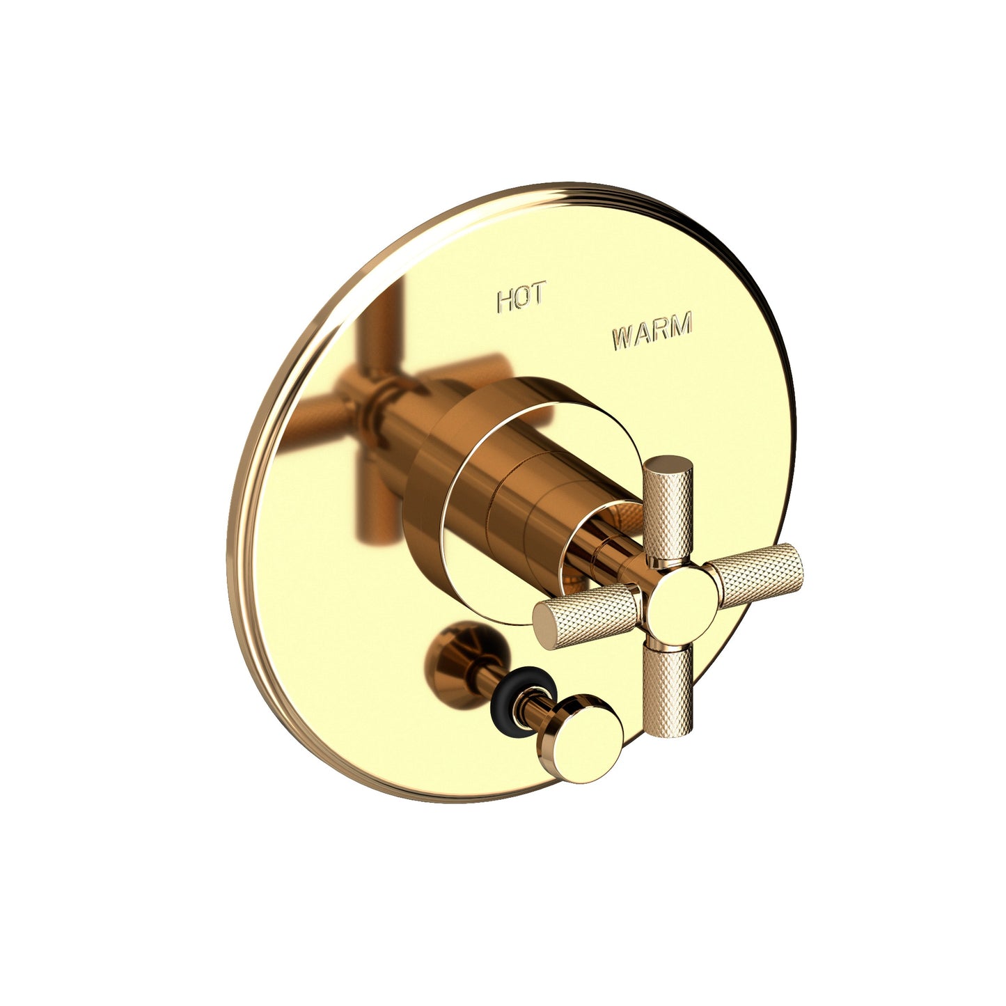 Newport Brass 5-3302BP Muncy Balanced Pressure Tub & Shower Diverter Plate with Handle. Less Showerhead, arm and flange.