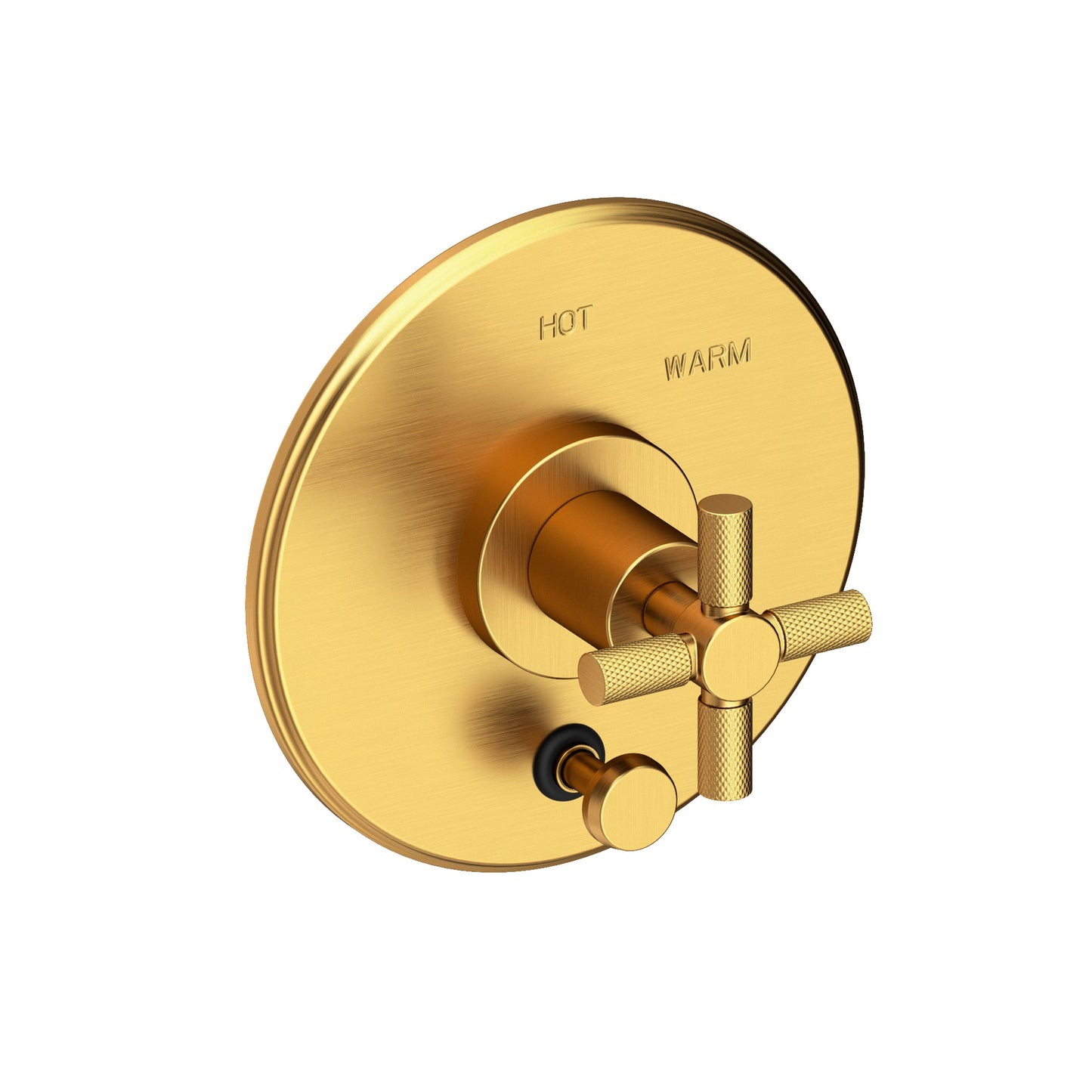 Newport Brass 5-3302BP Muncy Balanced Pressure Tub & Shower Diverter Plate with Handle. Less Showerhead, arm and flange.